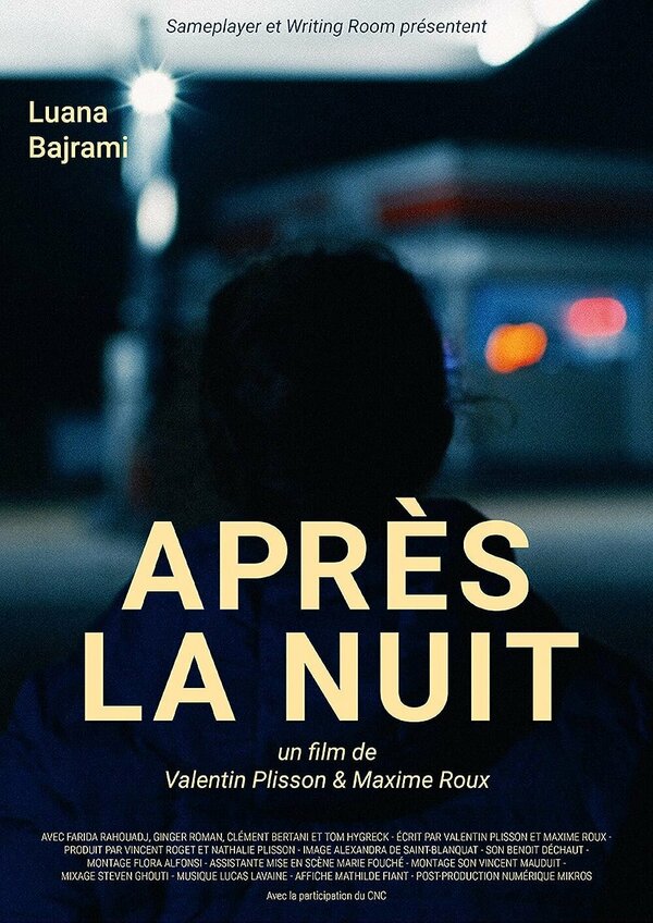 Постер фильма Après la nuit