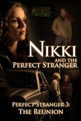 Постер Nikki and the Perfect Stranger (2013)