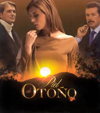 Постер Поздняя любовь (2004)
