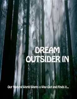 Постер фильма Dream - Outsider In