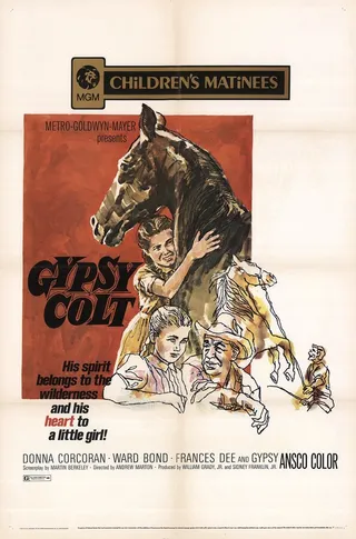 Постер Цыганский Кольт (1954)