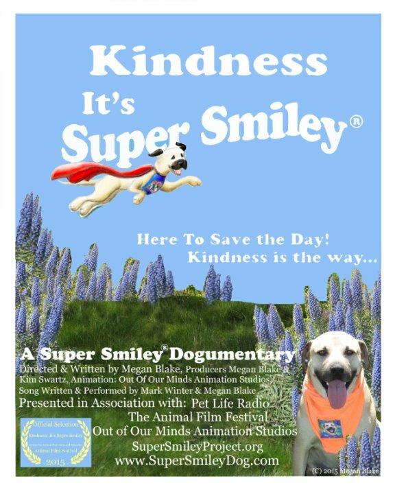 Постер фильма Kindness: It's Super Smiley