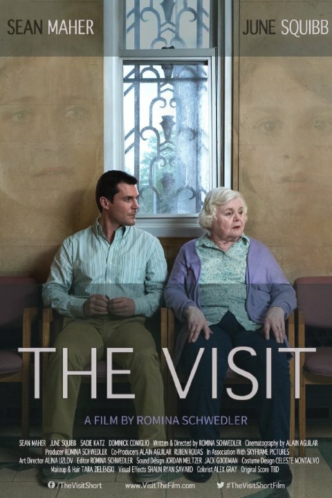 Постер фильма The Visit