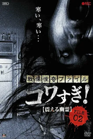 Постер Ужасающие материалы, файл 2: Дрожащий призрак (2012)