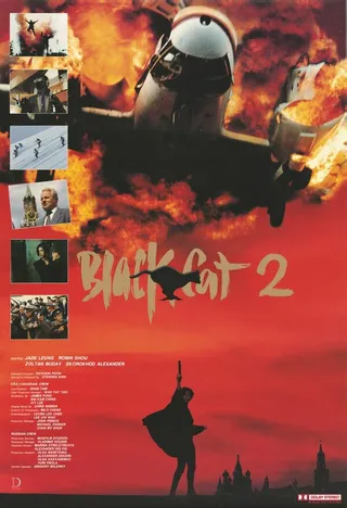 Постер Чёрная кошка 2 (1992)