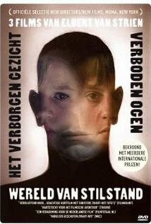 Постер фильма Het verborgen gezicht
