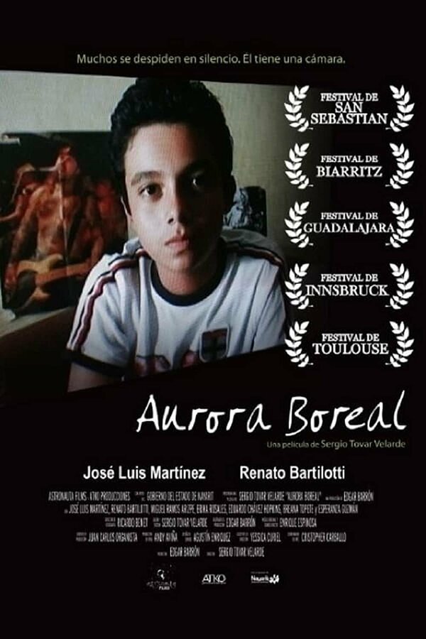 Постер фильма Aurora boreal