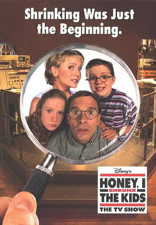 Постер Дорогая, я уменьшил детей (1997)