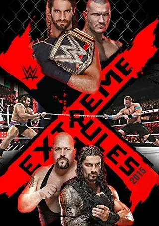 Постер WWE Экстремальные правила (2015)