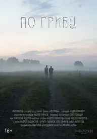 По грибы