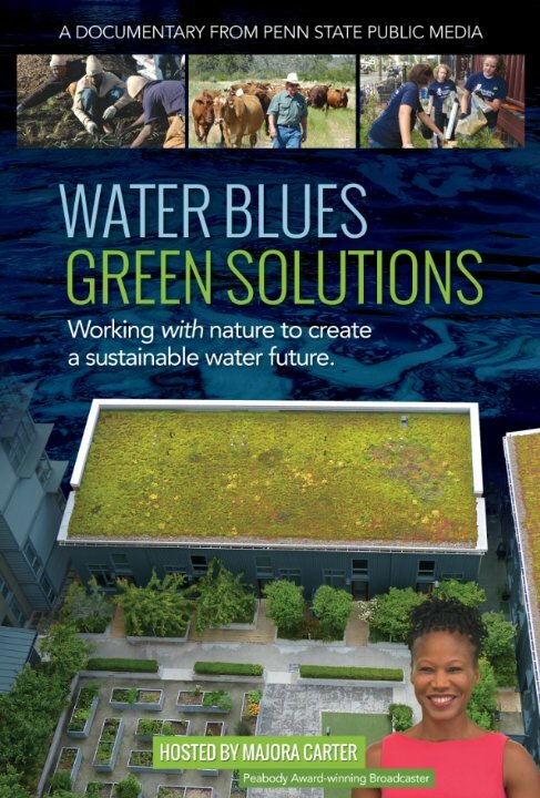 Постер фильма Water Blues: Green Solutions