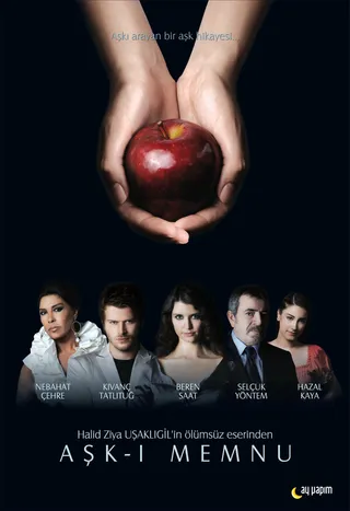 Постер Запретная любовь (2008)