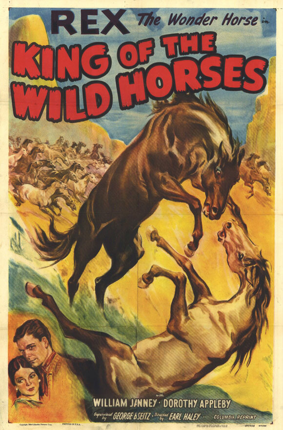 Постер фильма King of the Wild Horses