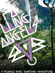 Falling Angels