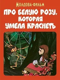 Про белую розу, которая умела краснеть