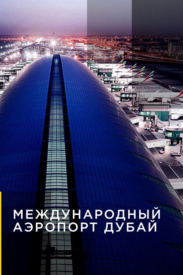 Постер сериала Международный аэропорт Дубай