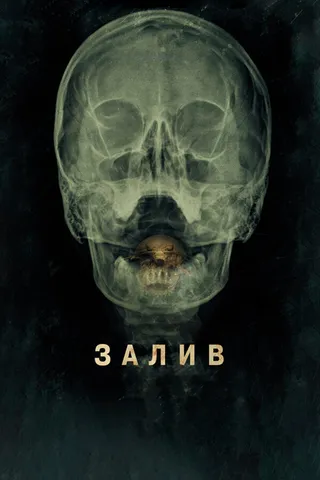 Постер Залив (2012)