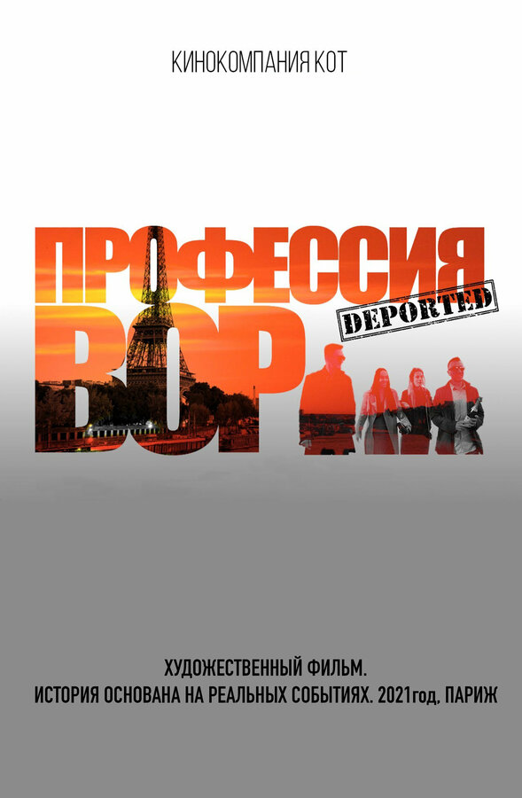 Постер фильма Профессия вор