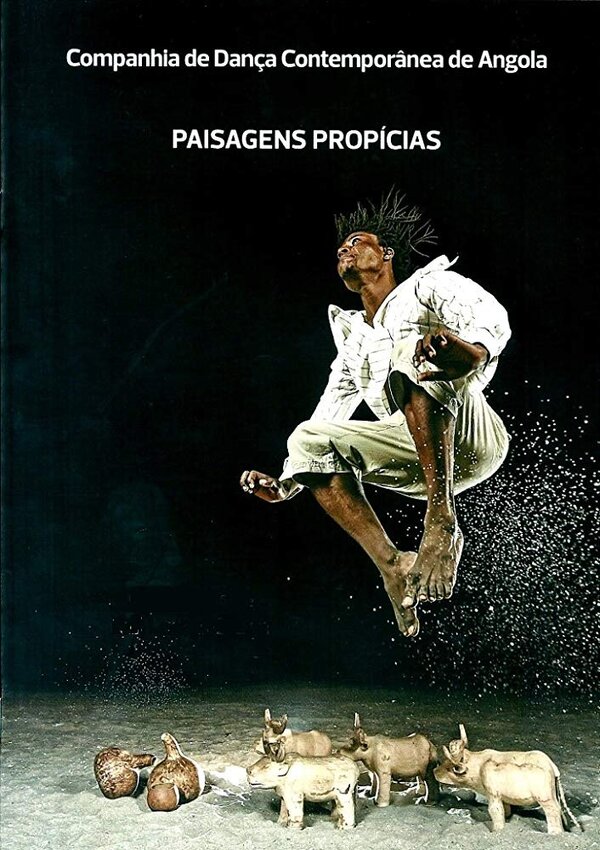 Постер фильма Paisagens Propícias