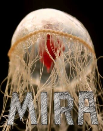 Постер фильма Mira