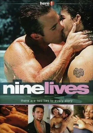 Постер Девять жизней (2004)