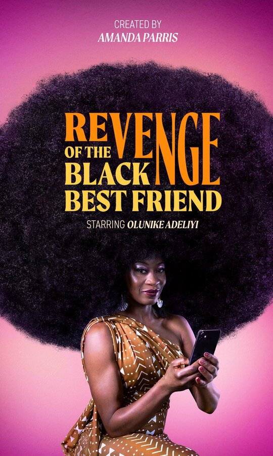 Постер сериала Revenge of the Black Best Friend