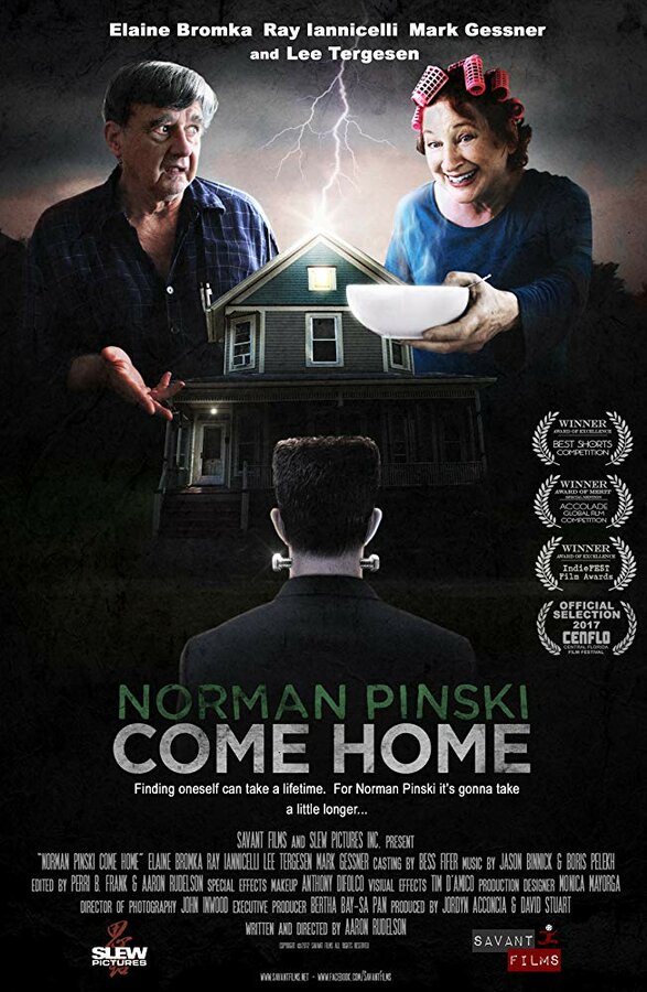 Постер фильма Norman Pinski Come Home