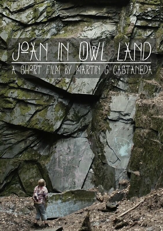 Постер фильма Joan in Owl Land