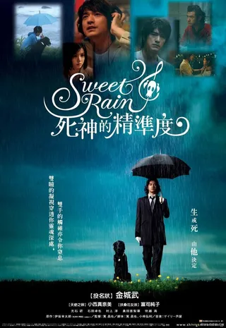 Постер Прекрасный дождь (2008)