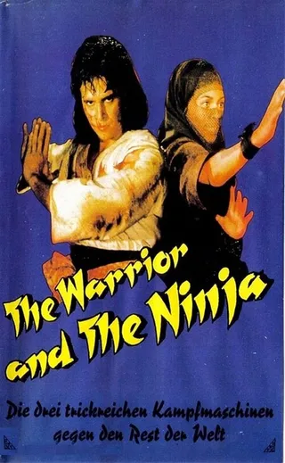 Постер Воин и ниндзя (1985)