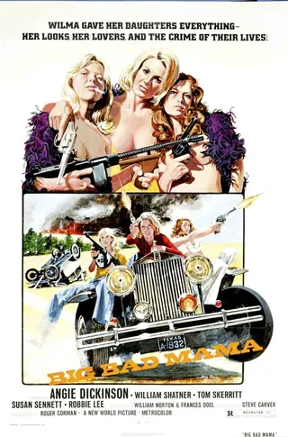 Постер Нехорошая мамаша (1974)