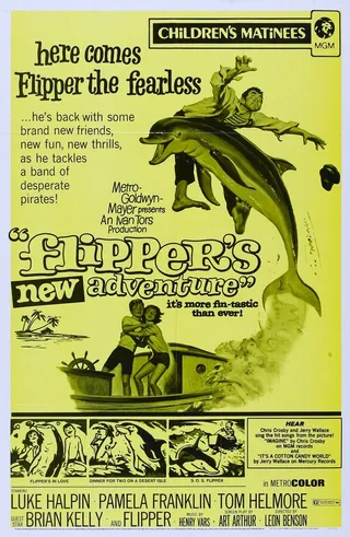 Постер Новые приключения Флиппера (1964)