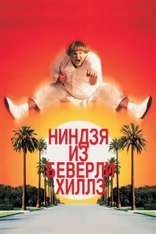 Постер Ниндзя из Беверли-Хиллз (1997)
