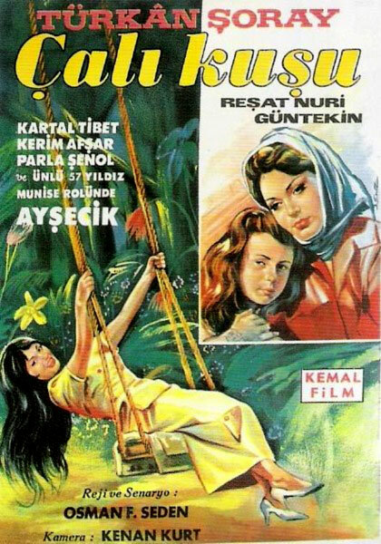 Постер фильма Королек – птичка певчая