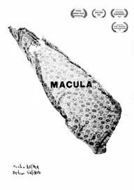 Macula