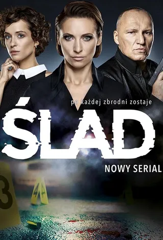 Постер След (2018)
