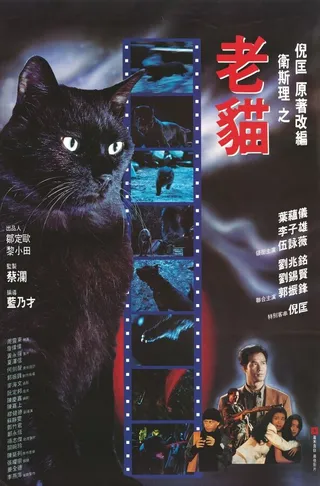 Постер Кошка (1992)