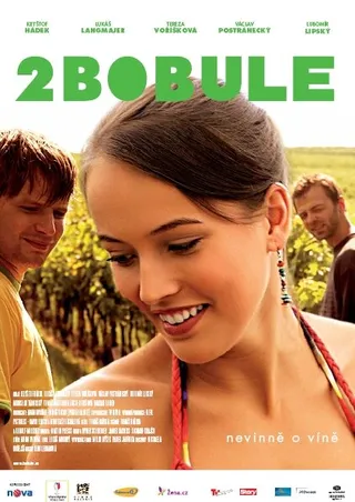 Постер 2 ягоды (2009)