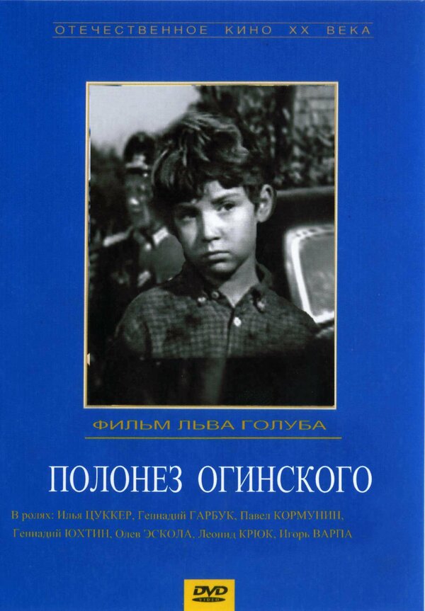 Постер фильма Полонез Огинского