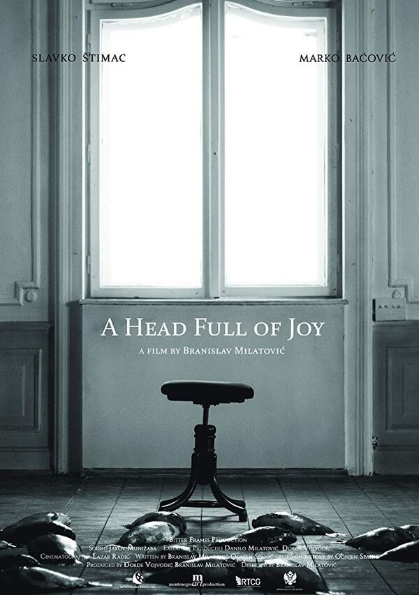 Постер фильма A Head Full of Joy
