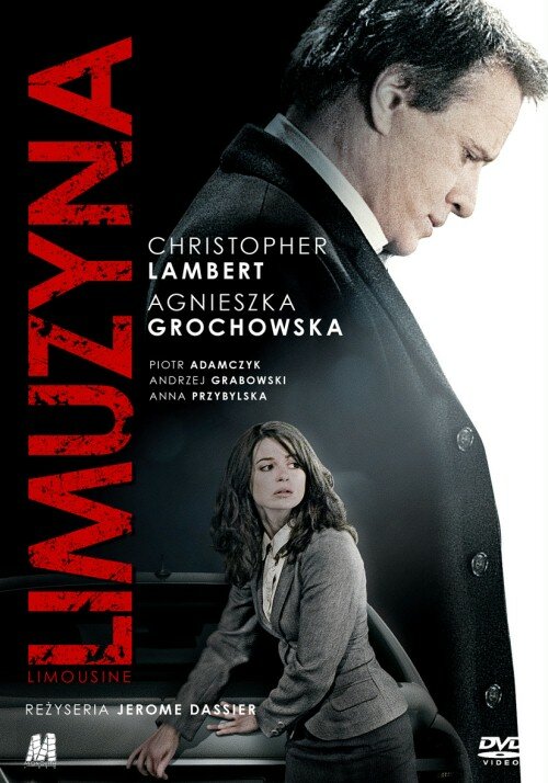 Постер фильма Лимузин
