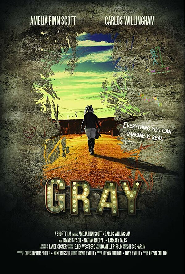 Постер фильма Gray