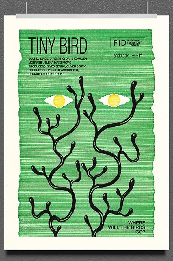 Постер фильма Tiny Bird