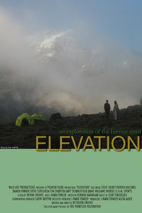 Постер фильма Elevation