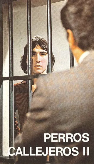 Постер Уличные собаки 2 (1979)