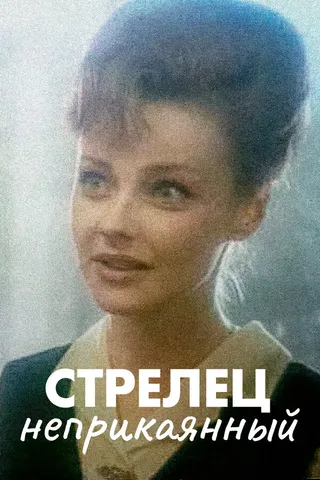 Постер Стрелец неприкаянный (1993)