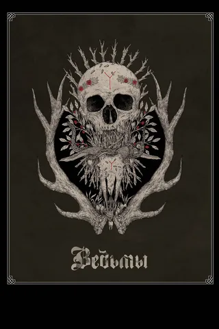 Постер Ведьмы (2017)