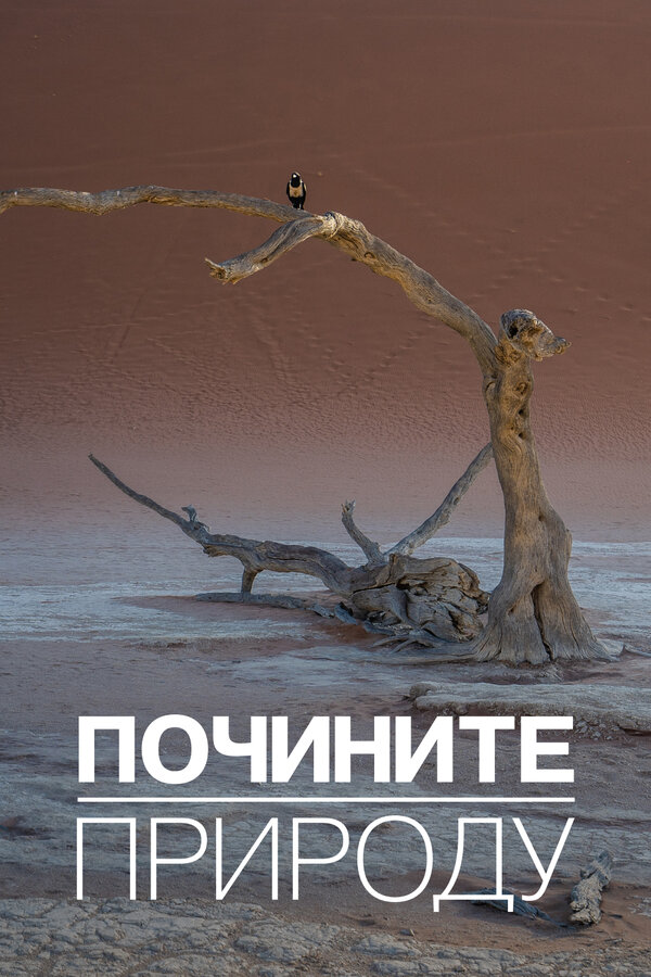 Постер сериала Как починить природу