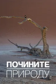 Как починить природу
