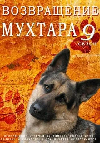Постер Возвращение Мухтара 9 (2013)